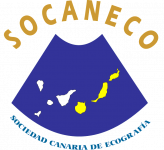 Aula Virtual Socaneco